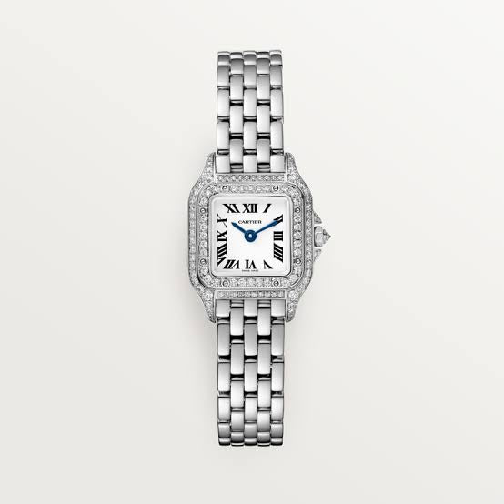 PANTHÈRE DE CARTIER (Master AAA. Copy)